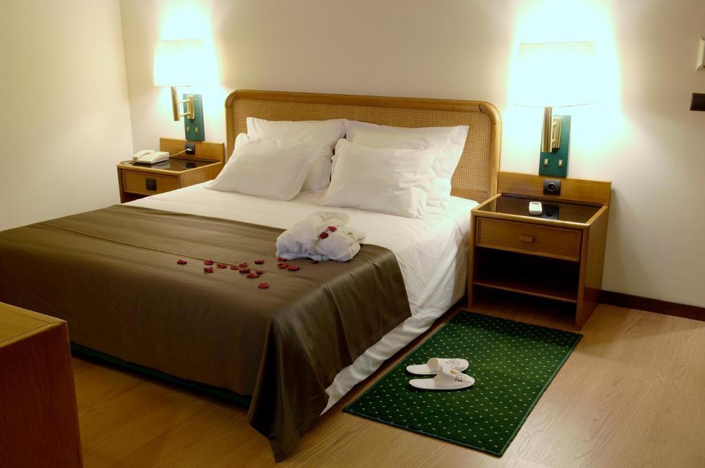 Palace Hotel & Spa - Termas De Sao Vicente Penafiel Room photo